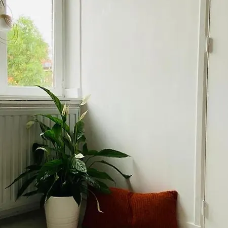 Apartment Maisonette Tran